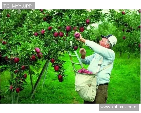 果园四季变换与生态可持续发展探讨：从栽培技术到环境保护的全方位分析