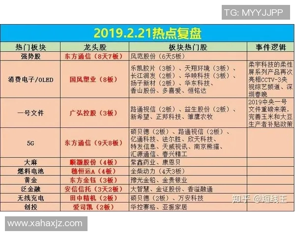 成都羽毛球队与武汉羽毛球队赛后复盘分析比赛节奏与战术对比